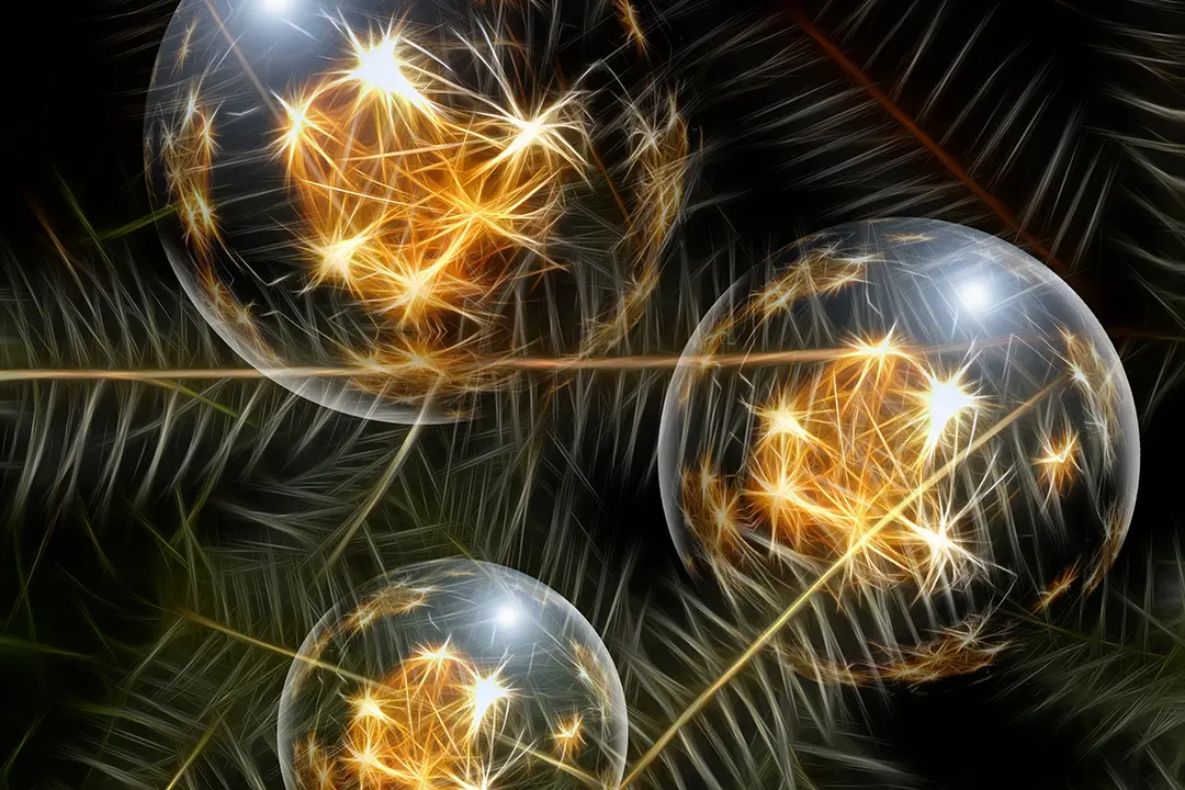 Reingeschmeckt – Fleischbänke Neustadt an der Orla 